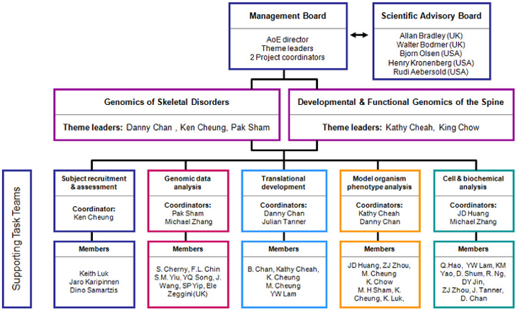 AoE -Organizational Structure