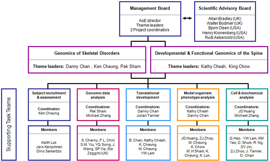 Cell Organization Chart