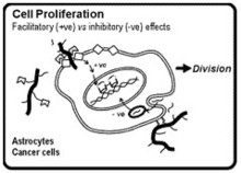 Cancer Biology
