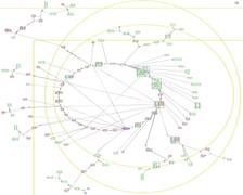 Systems Genetics