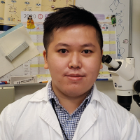 Dr So, Kam Hei 蘇錦熙