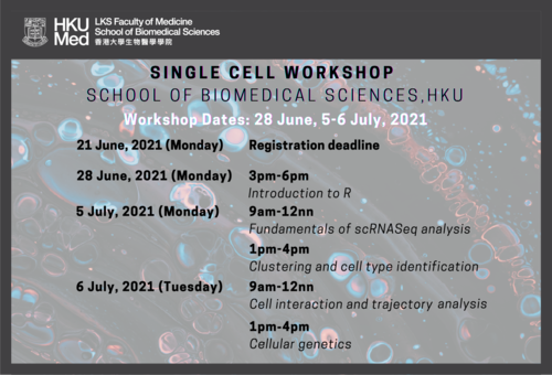 Single Cell Workshop (2021-06-28)