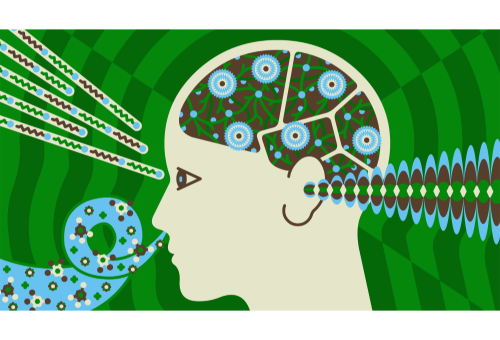 Seminar by Professor Peter Mombaerts; Talk title: Targeting olfaction