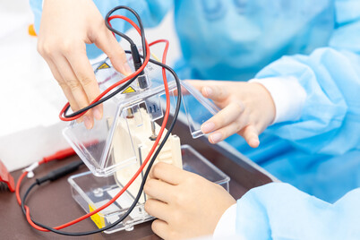 HKU Biomedical Sciences Summer Academy 2023- Aug 7-11, 2023 - Photo - 31