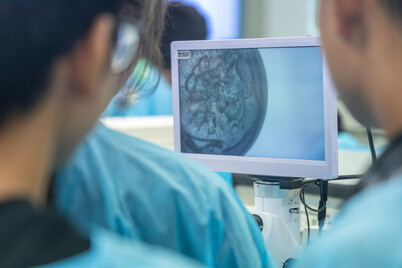 Summer Academy 2024- Aug 5-9, 2024 - Photo - 8