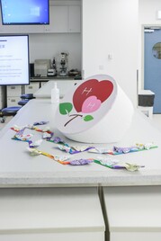 Body Donation Day 2025- Mar 8, 2025 - Photo - 63