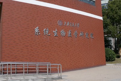 Visit to Shanghai on Mar 8-10, 2018 - Photo - 10