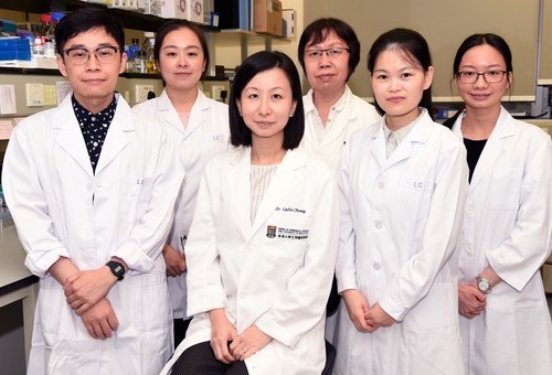 Press Release: HKUMed scientists unlock the molecular mechanism that promotes ovarian cancer growth, paving the way for new treatment opportunities