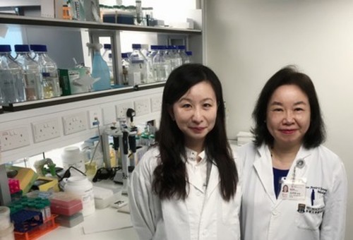 Press Release: HKU discovers new potential targeted approach in the treatment of ovarian cancer