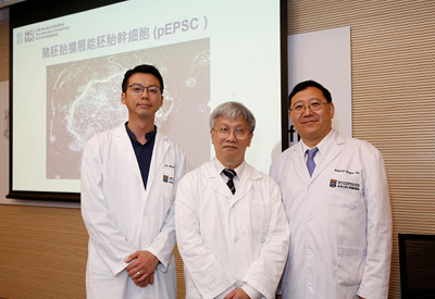 Press Release: HKU Discovers Stem Cell Breakthrough Offers New Avenue for Advancing Research into Embryonic Development, Regenerative Medicine, Biotechnology and Agriculture