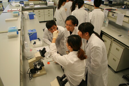 Participants were divided into small groups to observe the results of the experiment