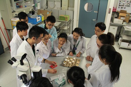 Attendees attentively watching the demonstration conducted by our technical staff