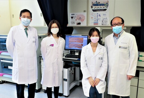 Press Release: Professor Ying Shing Chan, Dr Lee Wei Lim and CityU researchers jointly discover non-invasive stimulation of the eye for depression and dementia