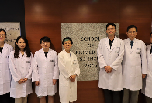 Press Release: HKUMed & CityU researchers jointly generate human neural stem cells with powerful therapeutic potential for the treatment of spinal cord injury, paving the way for new therapeutic opportunities