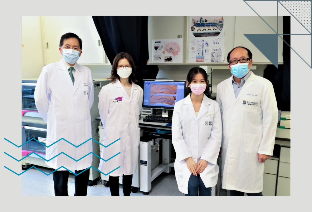 HKUMed & CityU researchers jointly discover non-invasive stimulation of the eye for depression and dementia