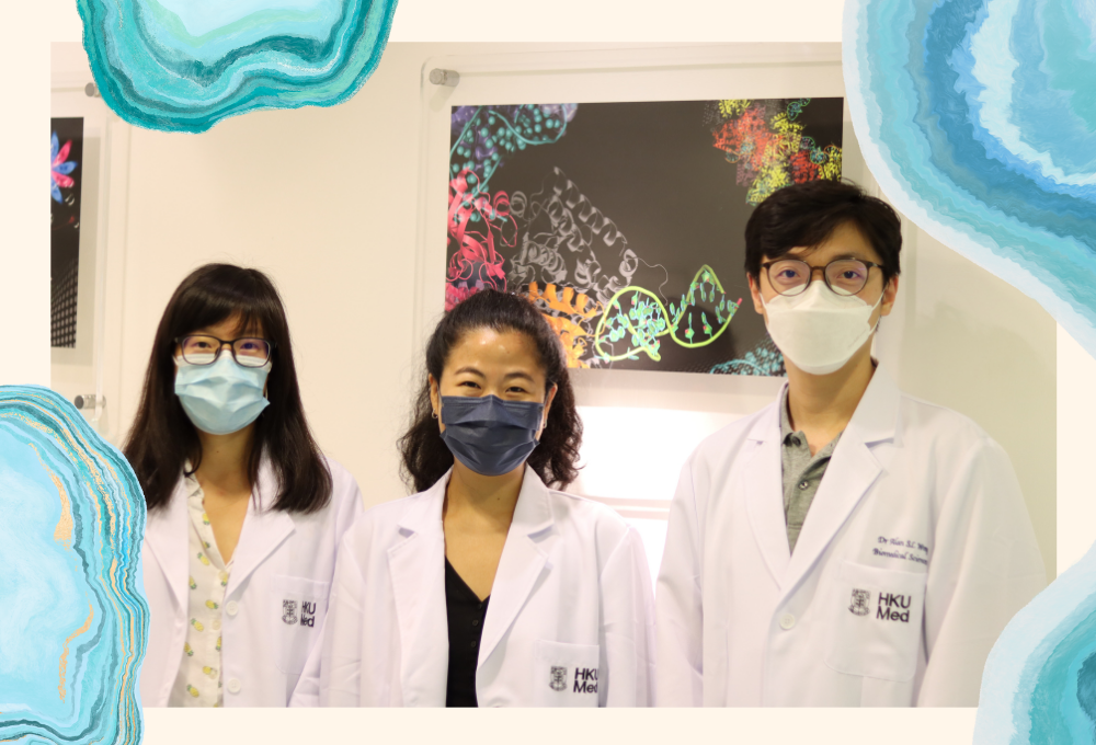 HKUMed research team combines artificial intelligence and protein engineering technology to enhance gene editing efficiency of CRISPR-Cas9