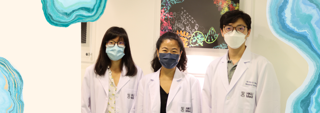 HKUMed research team combines artificial intelligence and protein engineering technology to enhance gene editing efficiency of CRISPR-Cas9