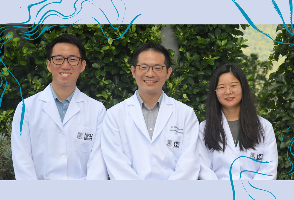 HKUMed-QMUL research team identify biomechanical and molecular signals that trigger early progression of atherosclerosis