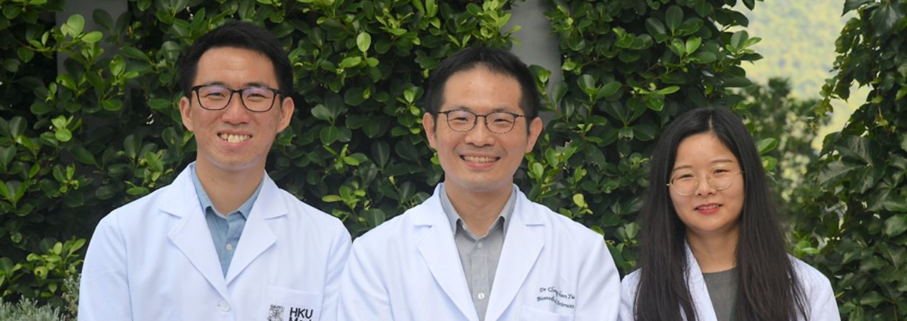 HKUMed-QMUL research team identify biomechanical and molecular signals that trigger early progression of atherosclerosis