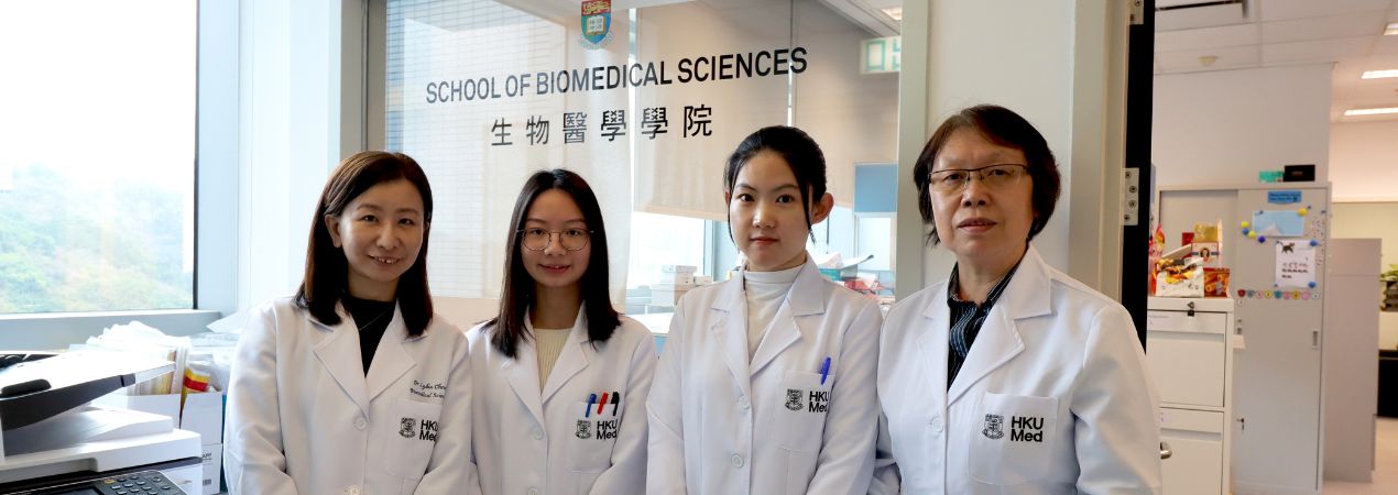 HKUMed discovers a new tumour suppressive gene boosts personalised treatment response in breast cancer