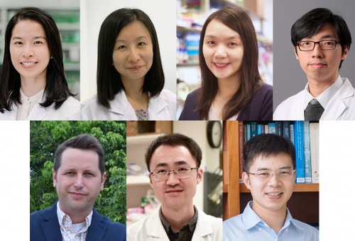 Press Release: Seven HKU young scientists awarded China's Excellent Young Scientists Fund 2020