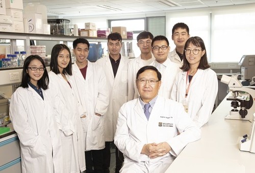 Prof. Pengtao Liu's study has been featured in recent Medical Faculty News