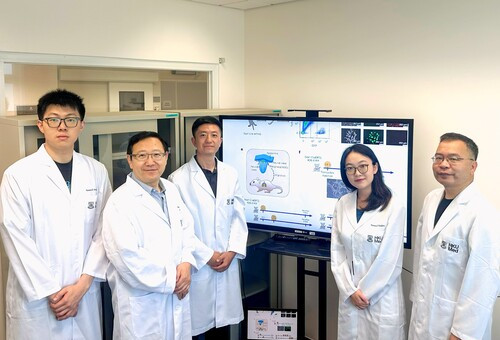 Press Release: HKUMed uncovers world's first 'hidden' peripheral neural stem cells, revolutionising regenerative medicine