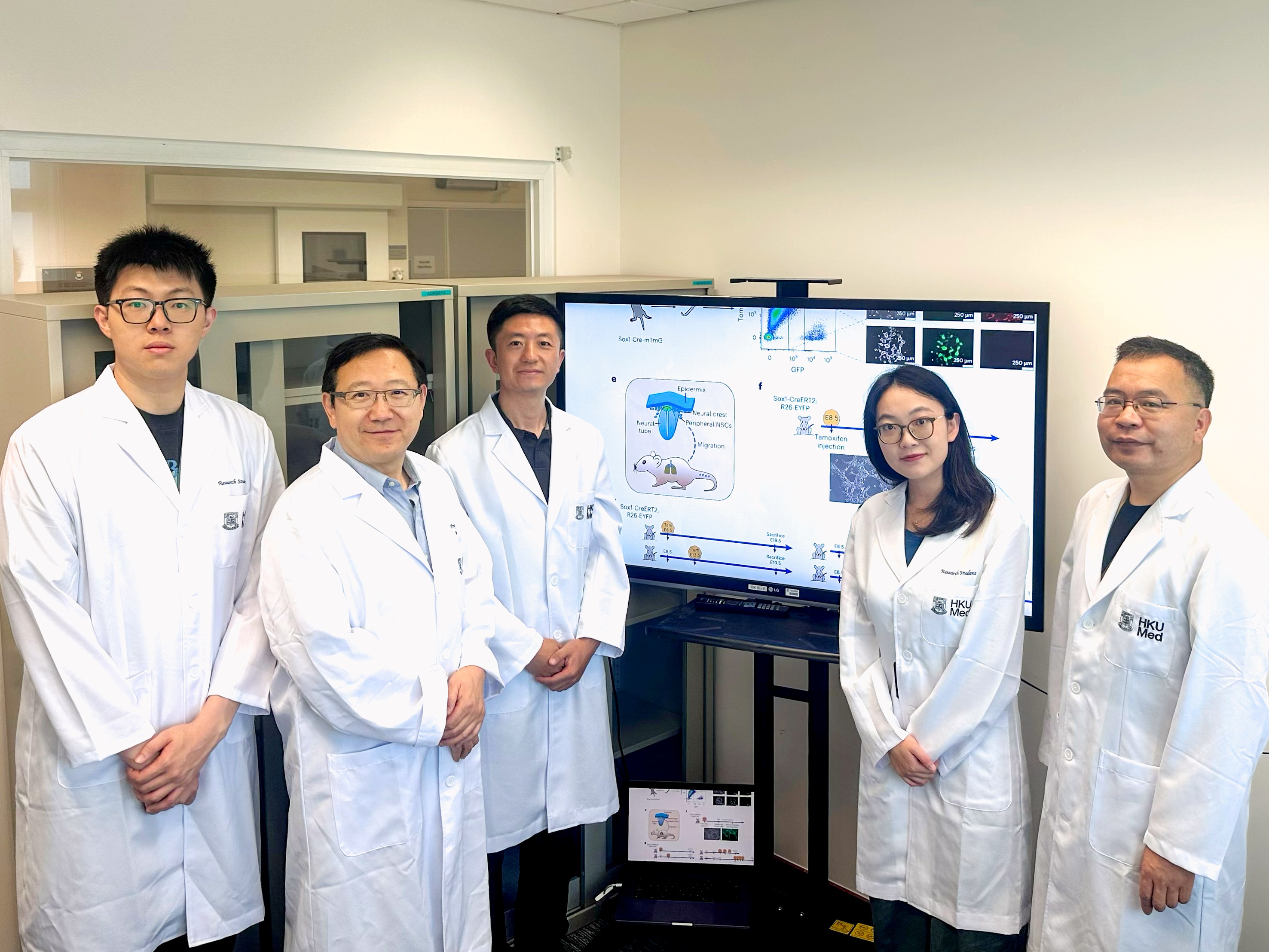 Prof Pengtao Liu and his team