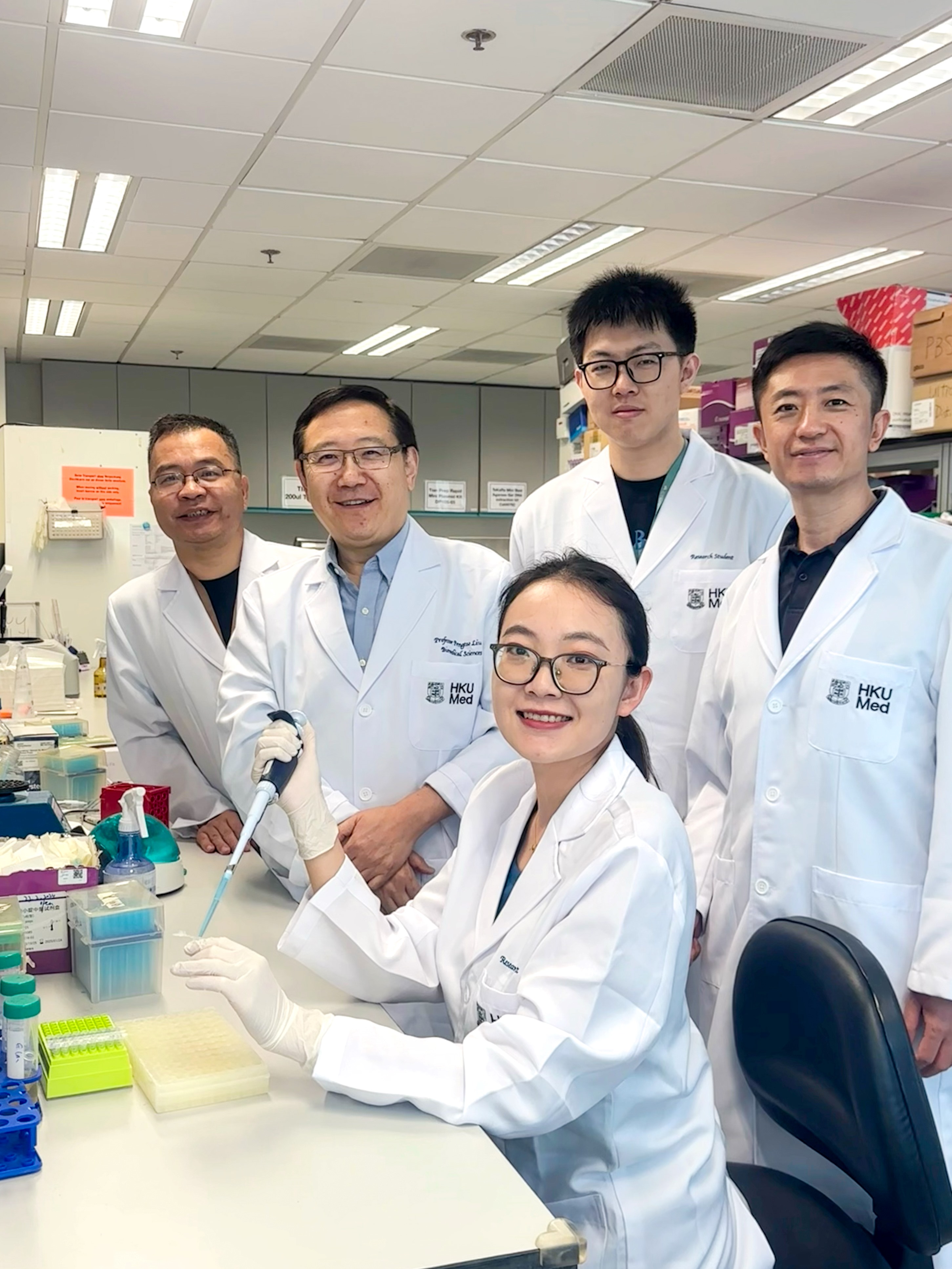 The HKUMed research team has identified pNSCs derived from mouse limb and lung tissues for the first time. These pNSCs can be obtained from accessible tissues like embryonic limbs and postnatal lungs, and expanded in laboratory conditions, highlighting their promising therapeutic potential.