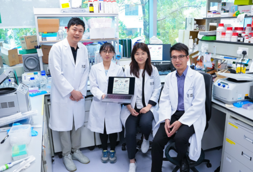 Press Release: HKUMed identifies key protein in liver cancer resistance and develops inhibitor to enhance therapy and prevent cancer recurrence