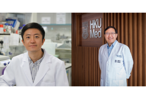 Media Coverage: New neural stem cell type could impact treatment of neurological diseases
