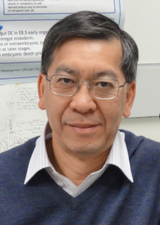 Patrick Tam