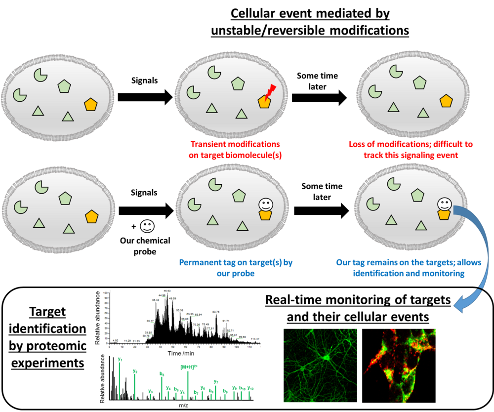 Cellular event