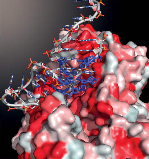 A cubane-modified aptamer evolved to specifically recognise a malaria protein biomarker.