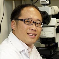 Dr LIM, Lee Wei 林禮偉