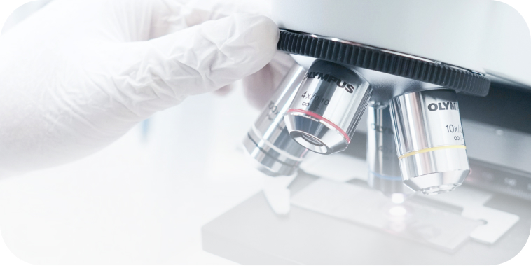 Research Support Staff