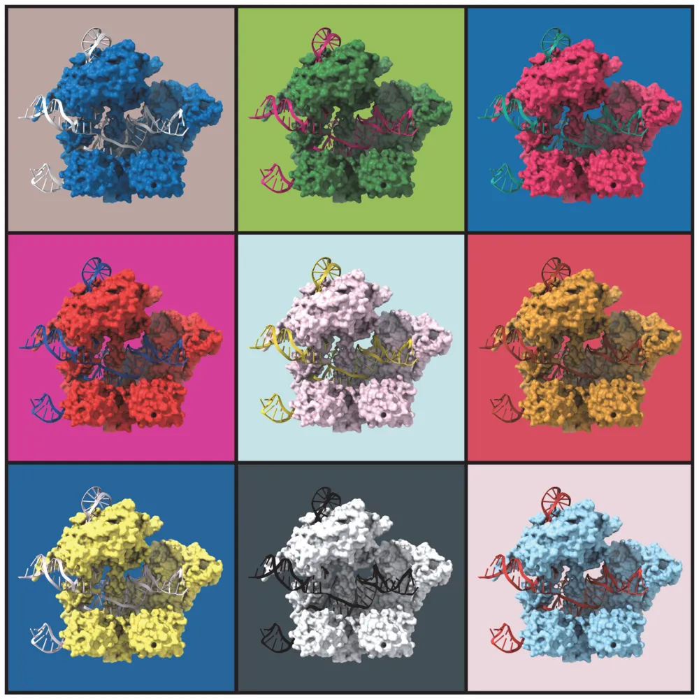 CasPopArt_CMYK